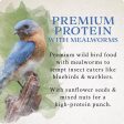 Songbird Selections Premium Protein with Mealworms Wild Bird Seed Wild Bird Food 5 lb Online now