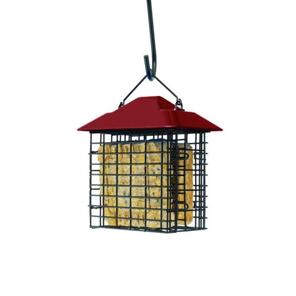 Woodlink Plastic Steel Suet Cage Double Suet Basket For Sale