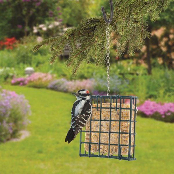 Woodlink Wild Bird Metal Small Suet Cage Supply