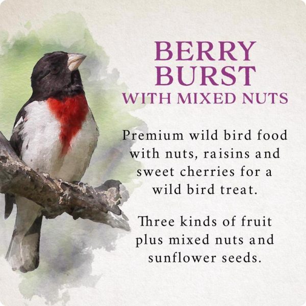 Songbird Selections Berry Burst with Mixed Nuts Wild Bird Seed Wild Bird Food 5 lb Supply