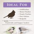 Songbird Selections Wild Finch Feast with Nyjer Wild Bird Seed Wild Bird Food 10 lb Online