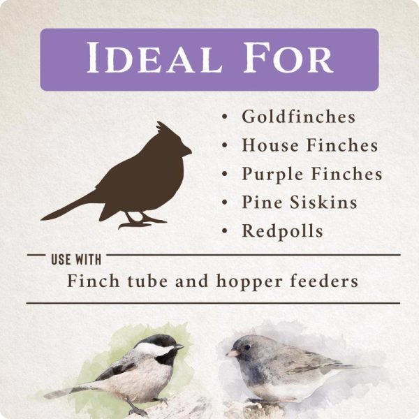 Songbird Selections Wild Finch Feast with Nyjer Wild Bird Seed Wild Bird Food 10 lb Online