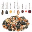 Songbird Selections Berry Burst with Mixed Nuts Wild Bird Seed Wild Bird Food 5 lb Supply