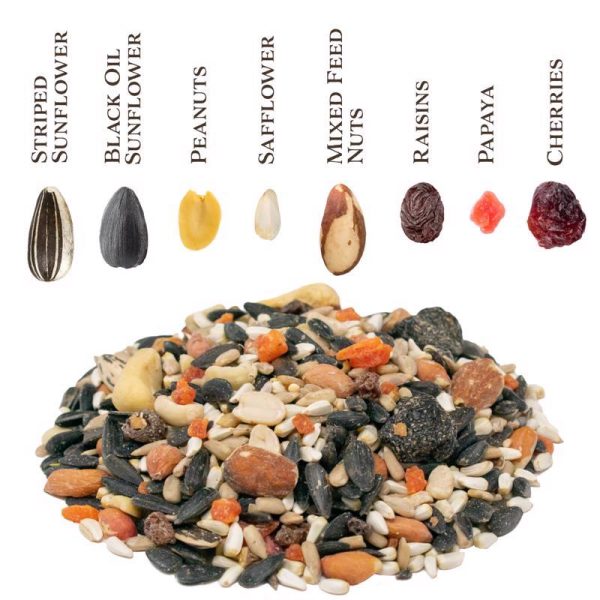 Songbird Selections Berry Burst with Mixed Nuts Wild Bird Seed Wild Bird Food 5 lb Supply