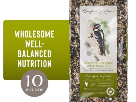 Songbird Selections Perfect Balance with Peanuts Wild Bird Seed Wild Bird Food 10 lb Online