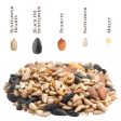 Songbird Selections Wild Bird Seed Wild Bird Food 5 lb Supply