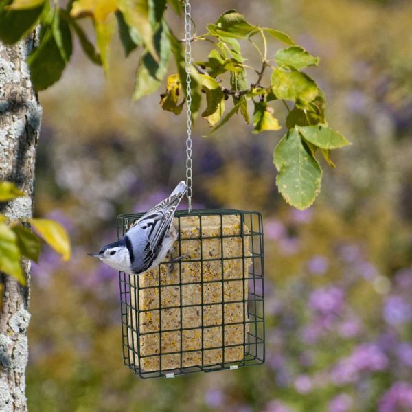 Woodlink Wild Bird Metal Suet Cage Suet Cage Online