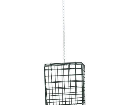 Woodlink Wild Bird Metal Suet Cage Suet Cage Online