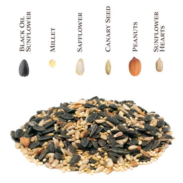 Songbird Selections Perfect Balance Wild Bird Sunflower Seeds and Peanuts Wild Bird Food 5 lb on Sale