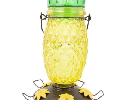 Perky-Pet Hummingbird 28 oz Glass Plastic Pineapple Nectar Feeder 5 ports Sale