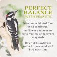 Songbird Selections Perfect Balance Wild Bird Sunflower Seeds and Peanuts Wild Bird Food 5 lb on Sale