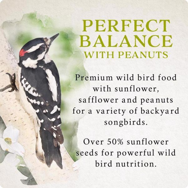 Songbird Selections Perfect Balance Wild Bird Sunflower Seeds and Peanuts Wild Bird Food 5 lb on Sale