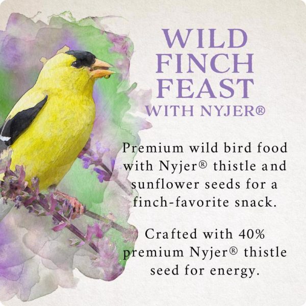 Songbird Selections Wild Finch Feast with Nyjer Wild Bird Seed Wild Bird Food 10 lb Online