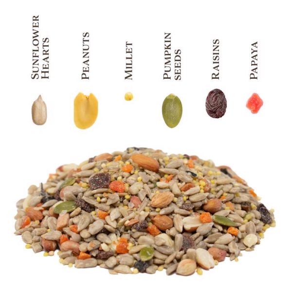 Songbird Selections No Waste Supreme with Fruit Wild Bird Seed Wild Bird Food 5 lb Online Hot Sale