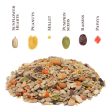 Songbird Selections Wild Bird Seed Wild Bird Food 10 lb For Discount